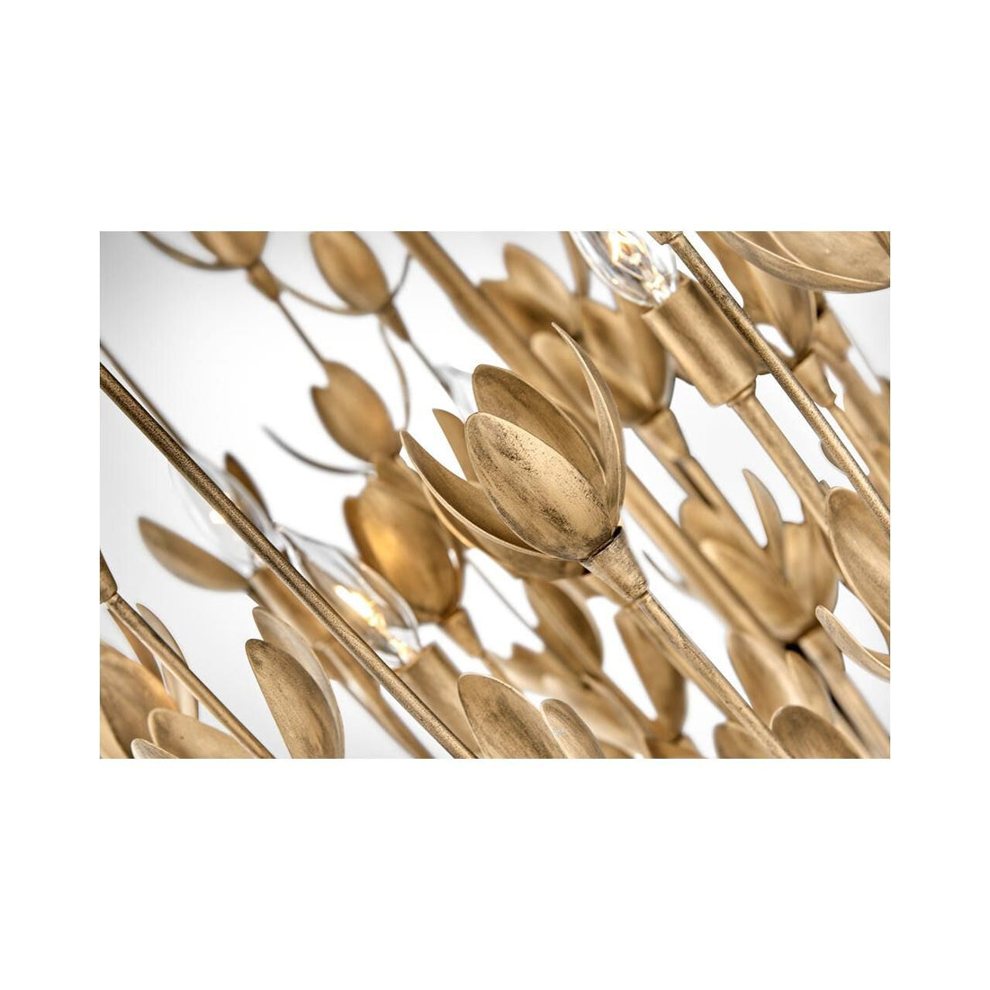 https://www.1800lighting.com/dw/image/v2/BCFP_PRD/on/demandware.static/-/Sites-masterCatalog_capitollighting/default/dwb8d0dab8/images/original/Hinkley-Lighting_30016bng_4.jpg?sw=800&sh=800&sm=fit