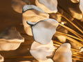 Lunaria Chandelier-Fanci Lamps