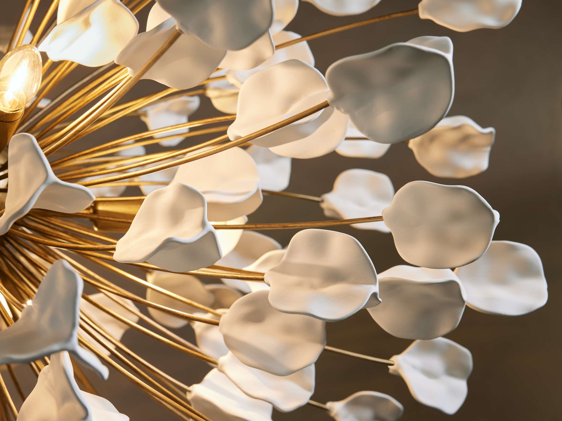 Lunaria Chandelier-Fanci Lamps