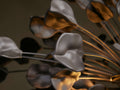 Lunaria Chandelier-Fanci Lamps
