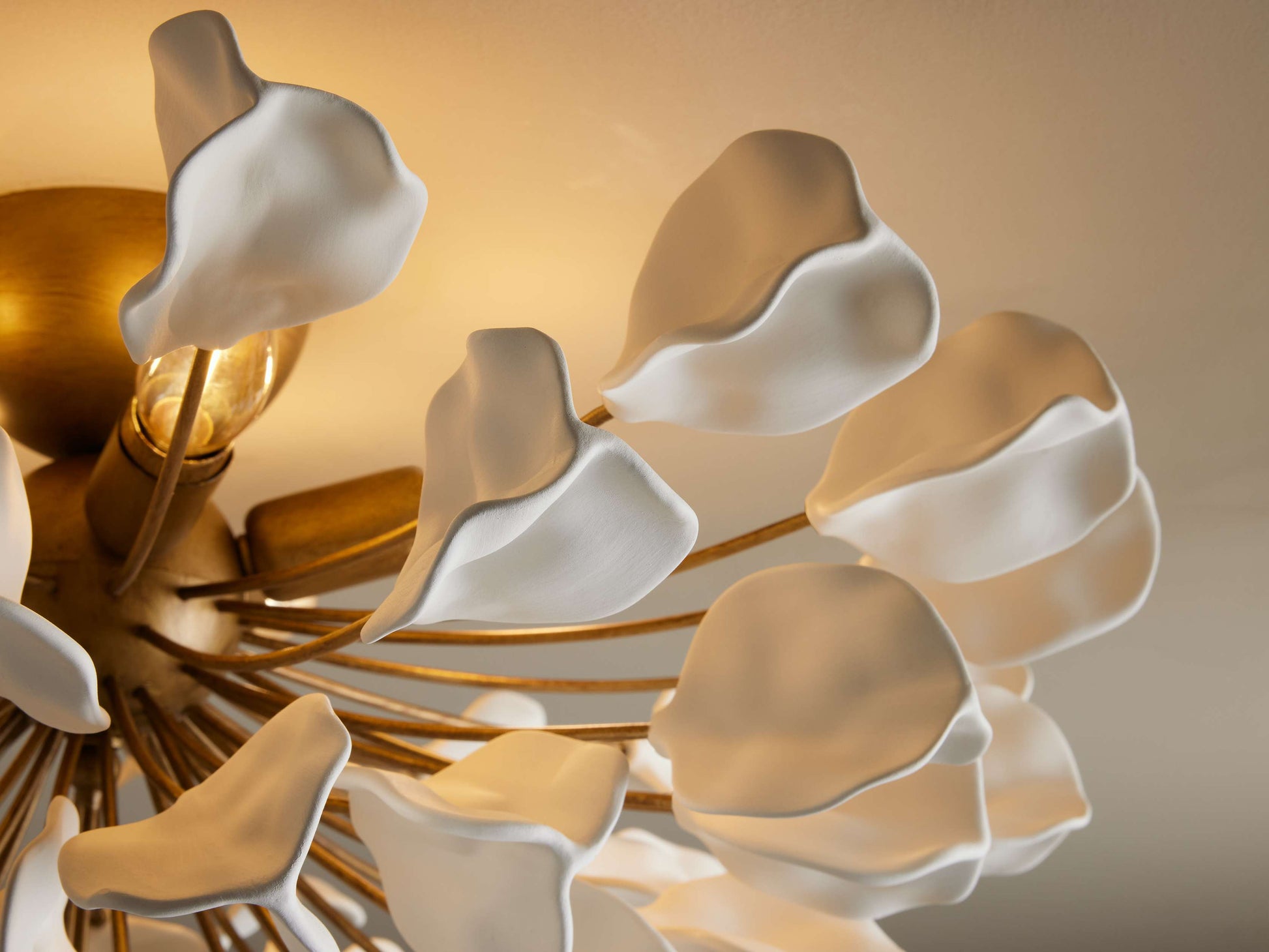 Lunaria Flush Mount-Fanci Lamps