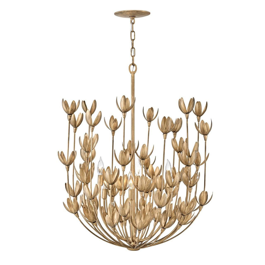 https://www.1800lighting.com/dw/image/v2/BCFP_PRD/on/demandware.static/-/Sites-masterCatalog_capitollighting/default/dwb8d0dab8/images/original/Hinkley-Lighting_30016bng_4.jpg?sw=800&sh=800&sm=fit