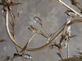 Claudette 12-Light Chandelier-Fanci Lamps