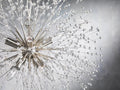 Dandelion Round Chandelier 22''30''43''-Fanci Lamps