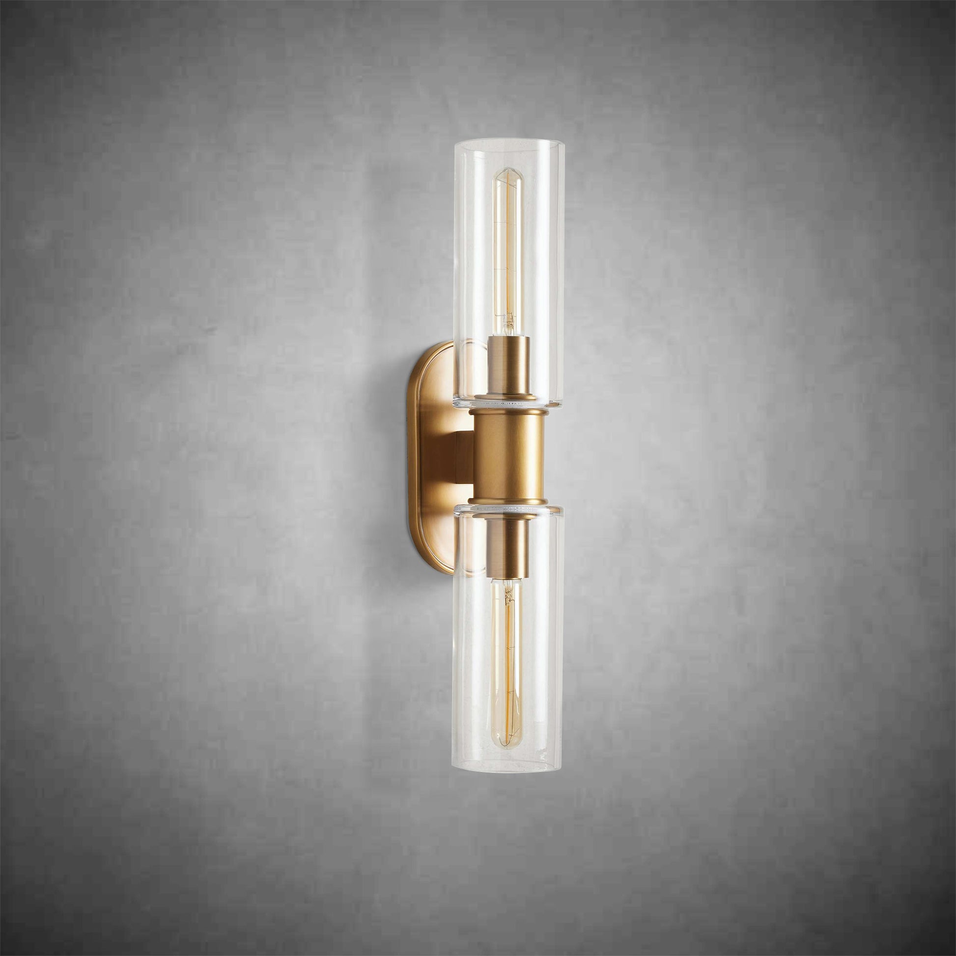 Harlin 2-Light Wall Sconce in Clear-Fanci Lamps