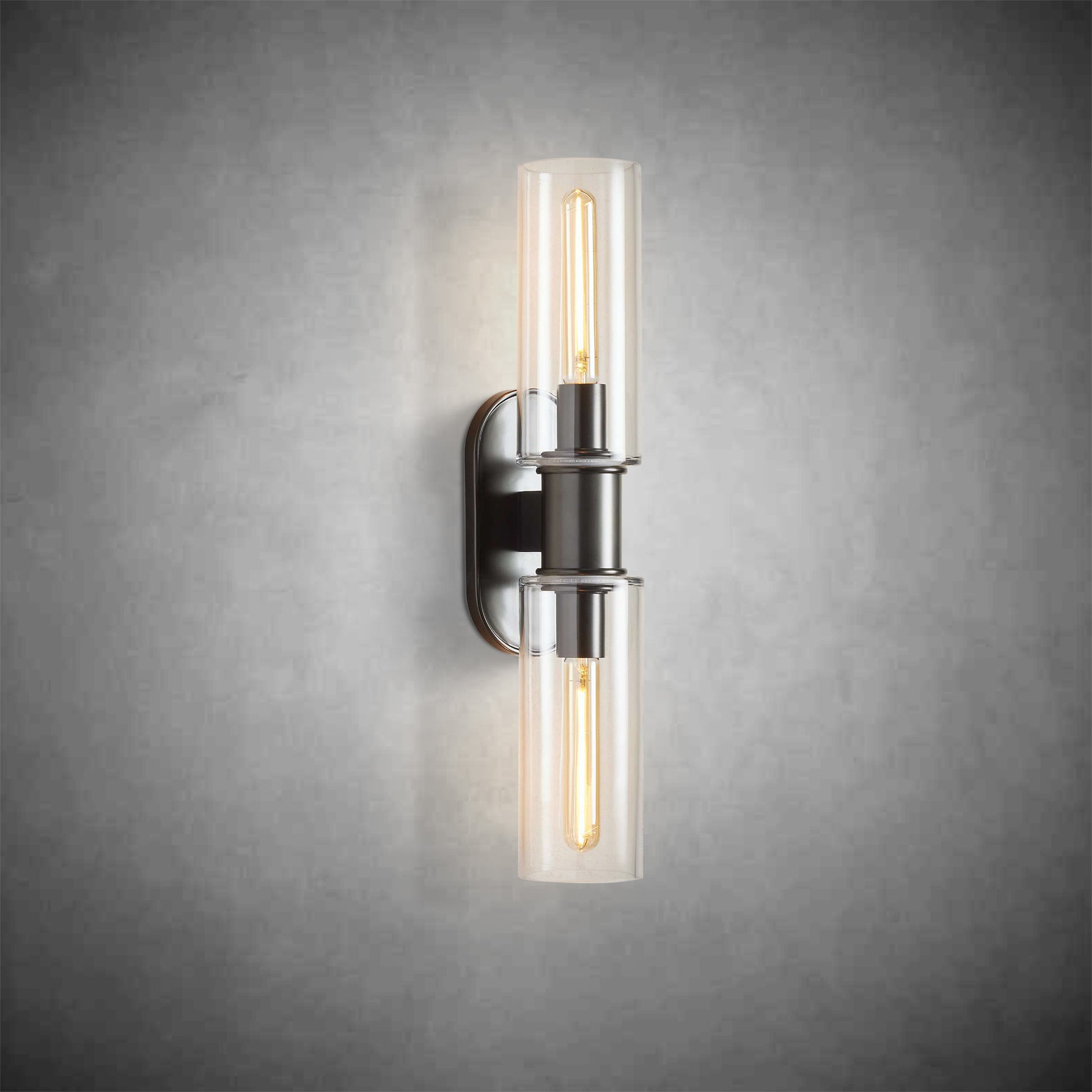 Harlin 2-Light Wall Sconce in Clear-Fanci Lamps