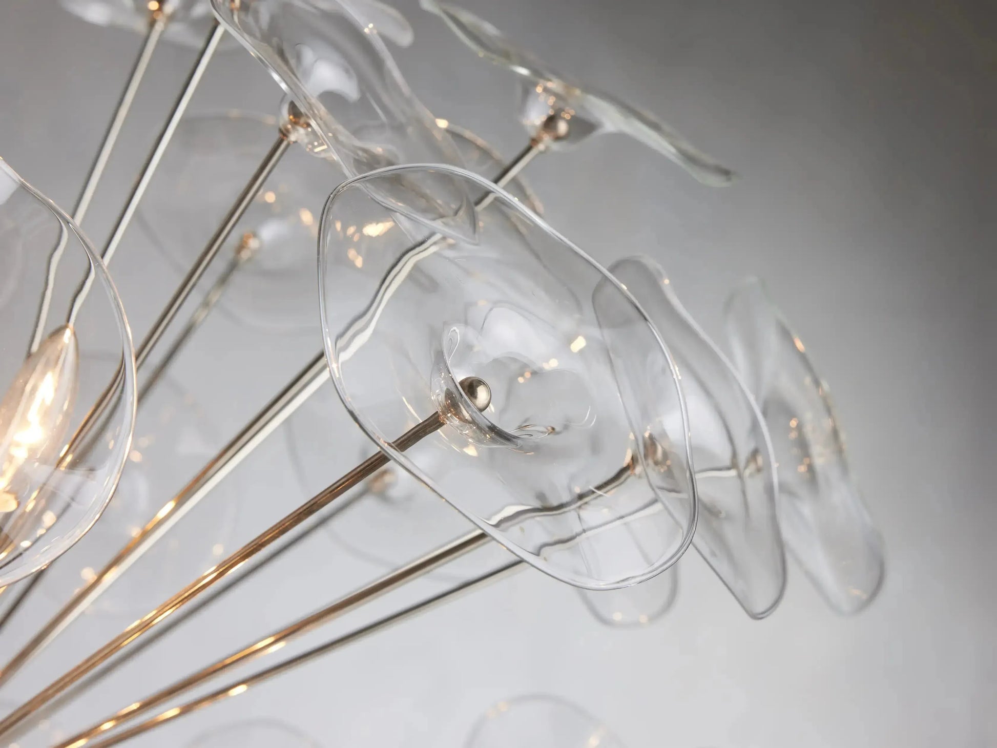 Lily Round Chandelier 8/10/19 Light-Fanci Lamps