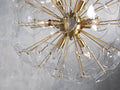 Lily Round Chandelier 8/10/19 Light-Fanci Lamps