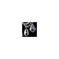 https://cdn.shopify.com/s/files/1/0778/2046/1351/files/hx-s_lascala_5003-48s_crystal_300px_7e556976-0b46-439d-af45-b5f9de522b7b.jpg?v=1765358872