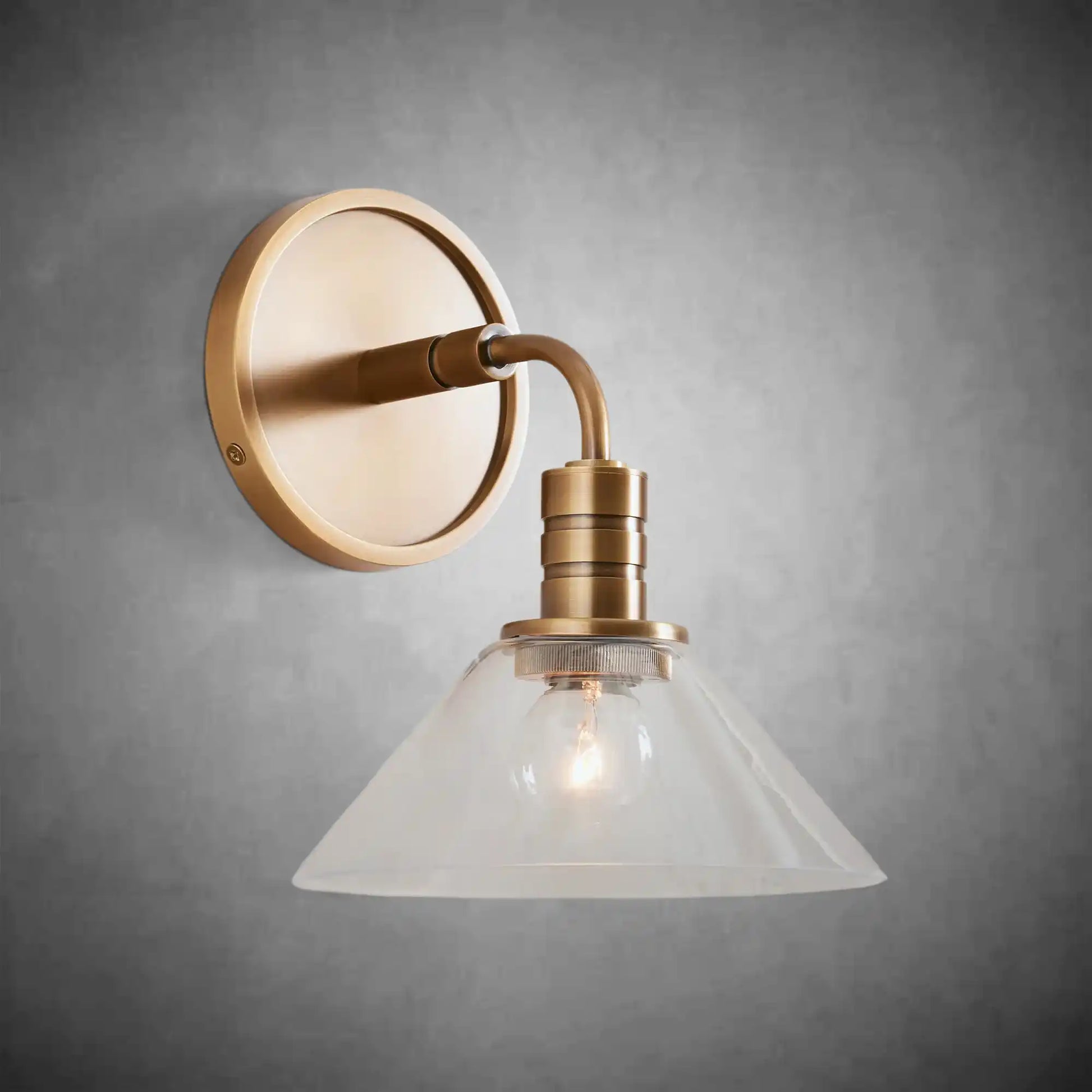 Theron Single Wall Sconce Modern Wall Light-Fanci Lamps